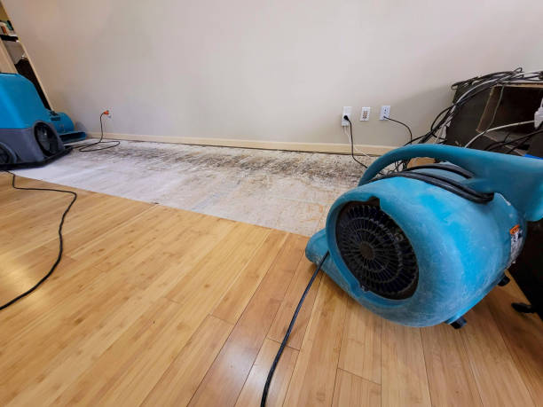 Professional Structural Drying technician working in Hammond, IN